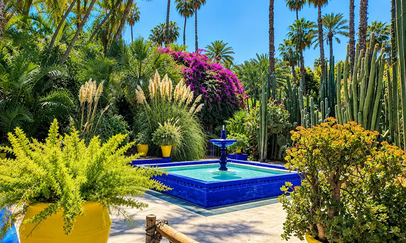 Cobalt blue buildings and cacti at Majorelle Garden in Marrakech