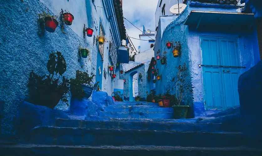 Bright blue alley with potted plants in the blue city of Morocco