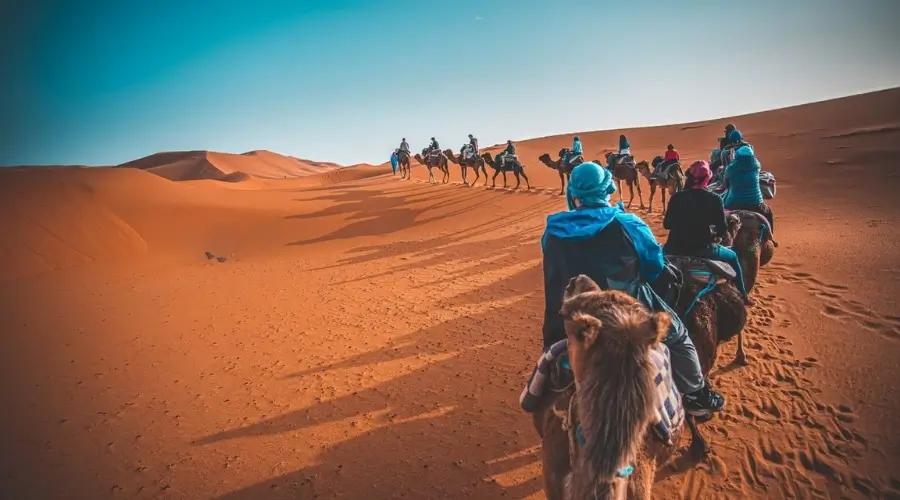 Camel caravan at sunset on the Erg Chebbi dunes, the highlight of desert tours from Marrakech to Merzouga